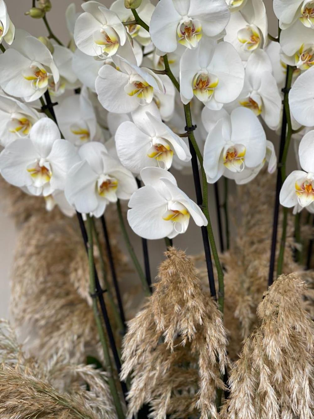 Hasır Sepette 12 Dal Beyaz Orkide